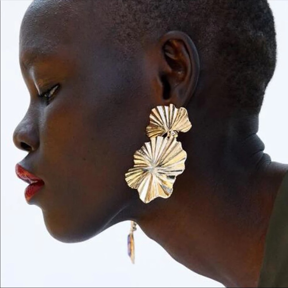 Earrings NWOT